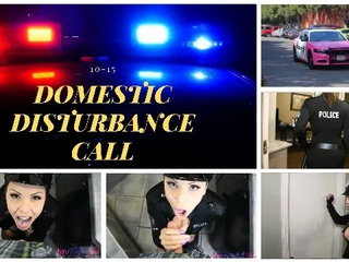 Domestic Disturbance Call